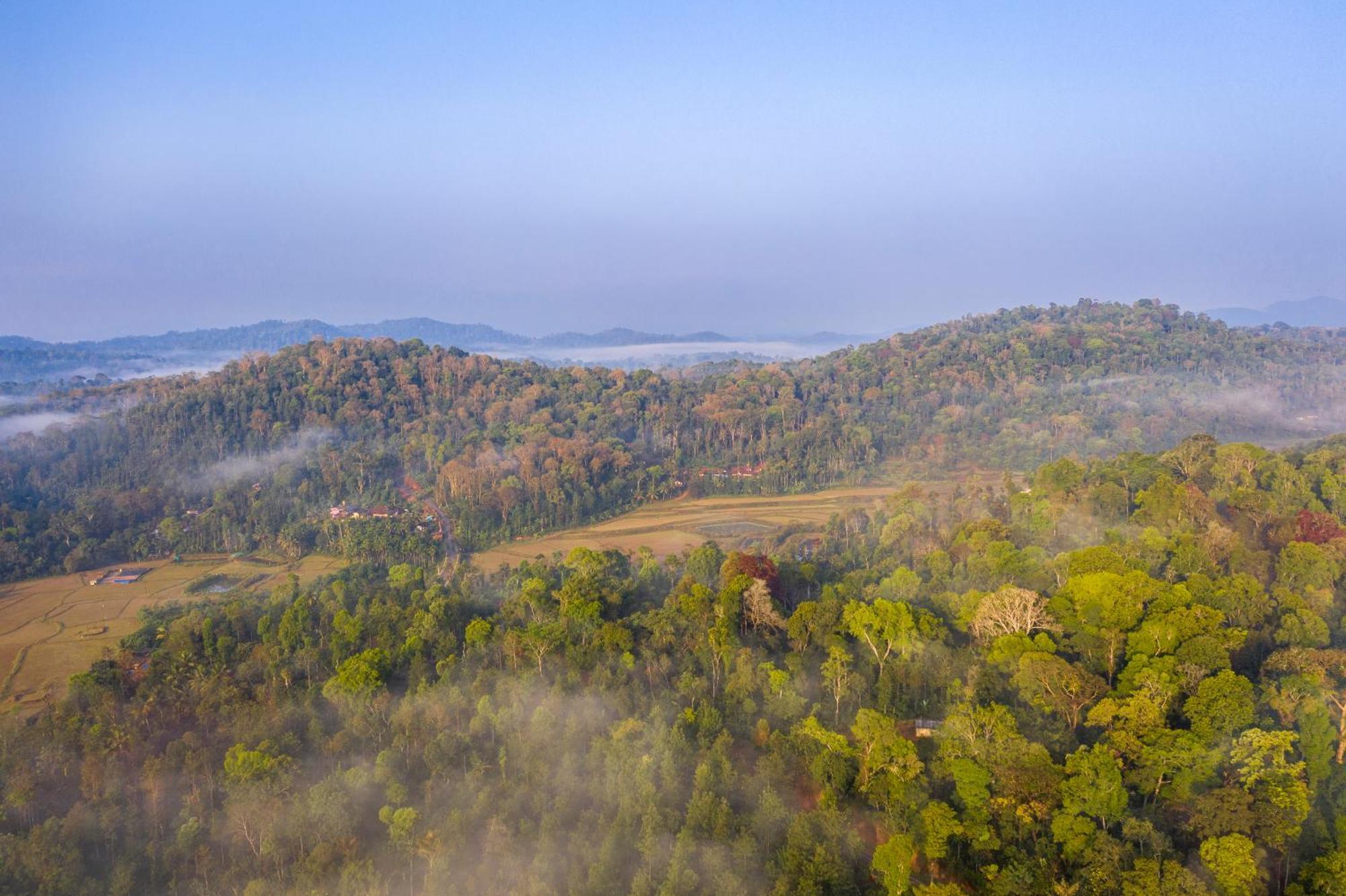 Ama Stays & Trails, Rare Earth Estate Madikeri Dış mekan fotoğraf